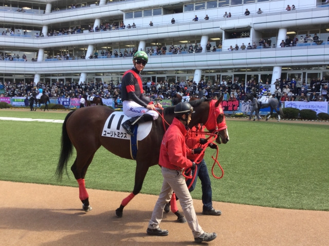 パドック ユーリトミクス