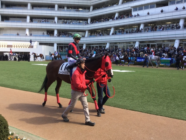 パドック ユーリトミクス