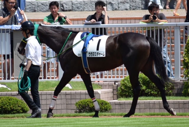 パドック ウラヌスチャーム