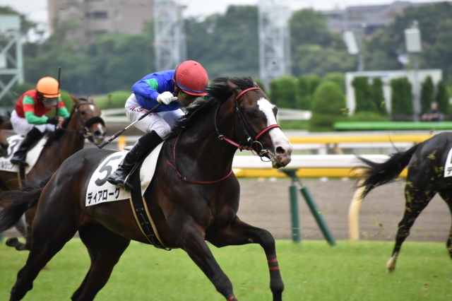 一番お気に入り ディアローグ