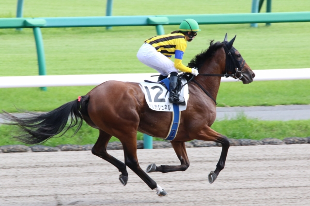 返し馬 ポルカシュネル