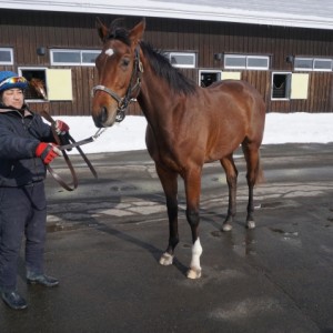 社台ファームにて２