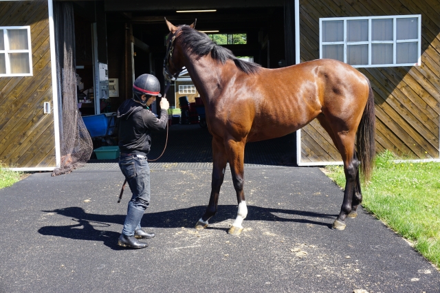 山元ＴＣ　Ｈ２９．６．５ スウィングビート