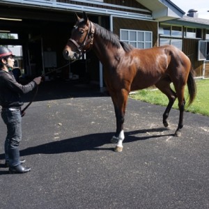 山元ＴＣ　Ｈ２９．６．５