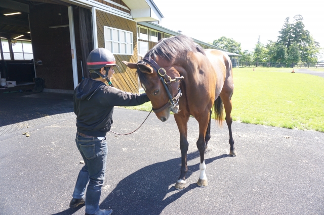 山元ＴＣ　Ｈ２９．６．５ スウィングビート