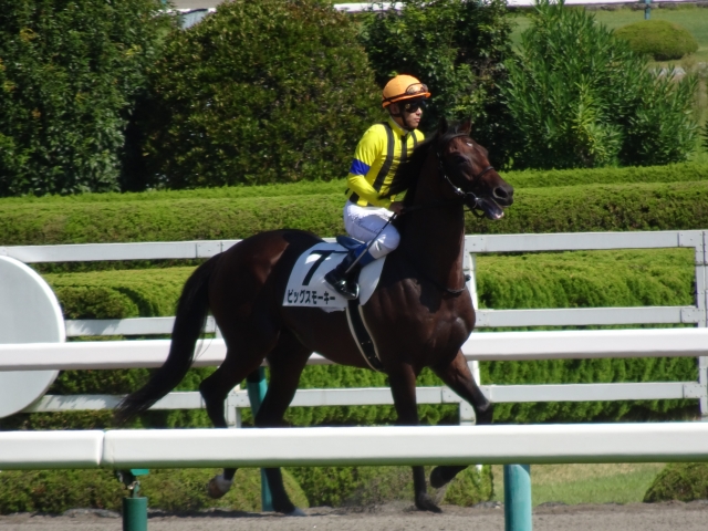 本場場入場 ビッグスモーキー