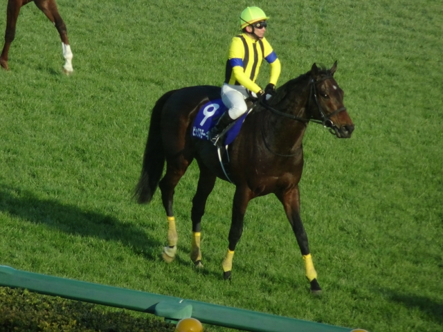 レース後 ビッグスモーキー