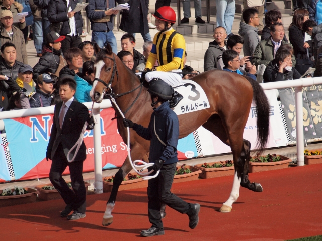 新馬戦　パドック ラルムドール