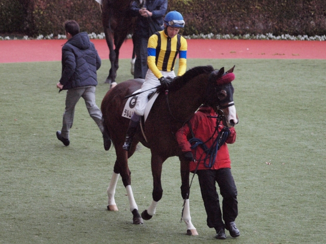 4歳以上1勝クラス　パドック ラルムドール