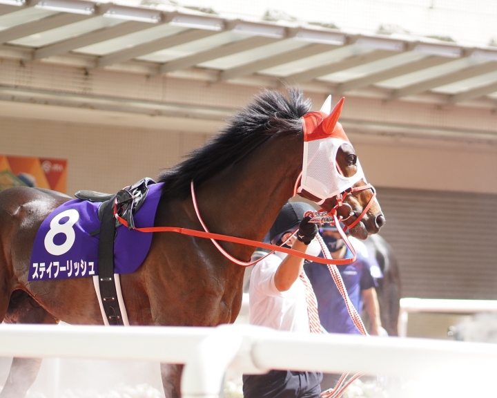 2022/6/26 宝塚記念(G1) ステイフーリッシュ