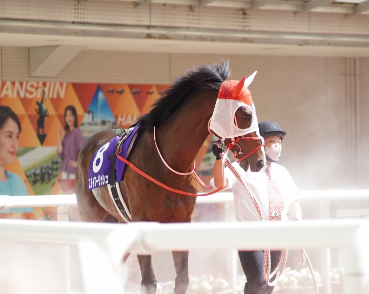 2022/6/26 宝塚記念(G1) ステイフーリッシュ