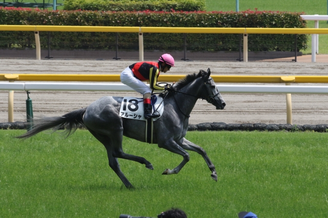返し馬 アルーシャ
