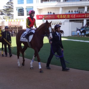 未勝利戦 パドック
