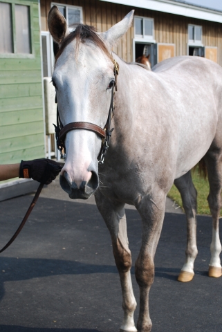 ＮＦ空港にて ウィキッドアイズ