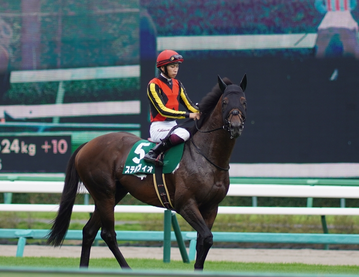 2021/9/12 京成杯オータムH(G3) ステルヴィオ