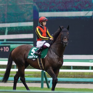 2021/9/12 京成杯オータムH(G3)