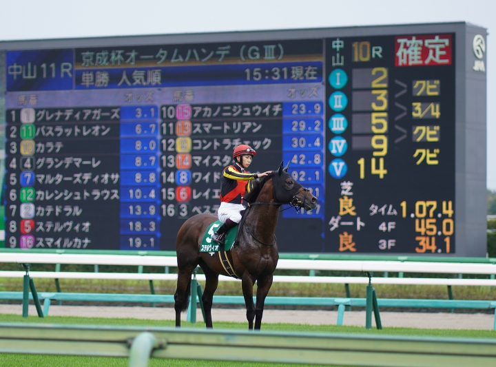 2021/9/12 京成杯オータムH(G3) ステルヴィオ