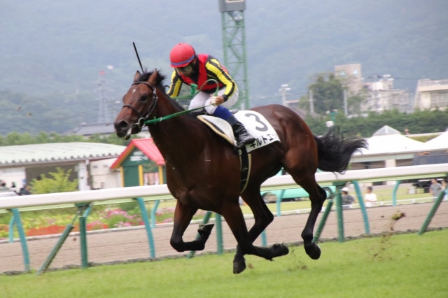 直線 ギルトエッジ