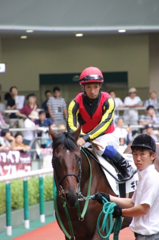 パドック2 ギルトエッジ