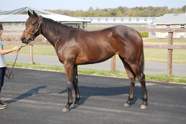 ＮＦ空港にて セーラペラーダ