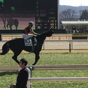 馬場入場返し馬