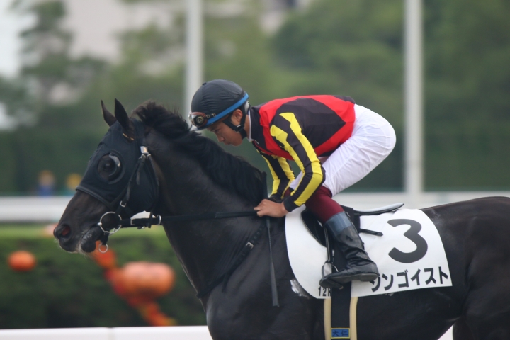 2021年9月 ジンゴイスト