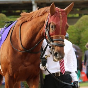 エリザベス女王杯　パドック1