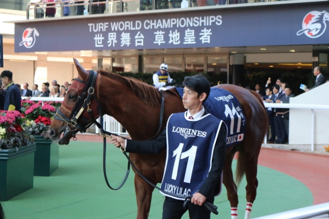香港ヴァーズ　パドック3 ラッキーライラック