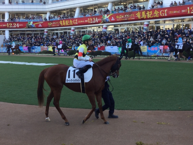 パドック ポートナイトサイト