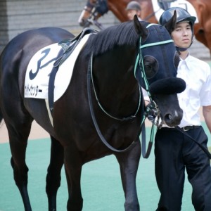 3歳未勝利戦　パドックにて