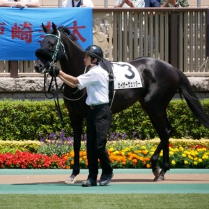 3歳未勝利戦　パドックとまーれー