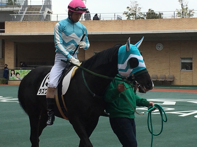 パドック 鞍上北村友一 ラズワルド