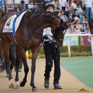 8月26日未勝利