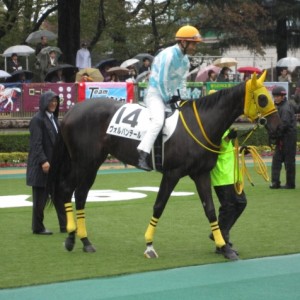 つらいデビュー戦