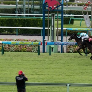 ヴァイスブリッツ　３歳以上１勝クラス　ゴール前