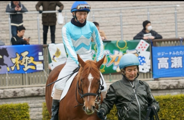 パドック コーラルフィーユ