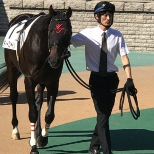 デビュー戦のパドック