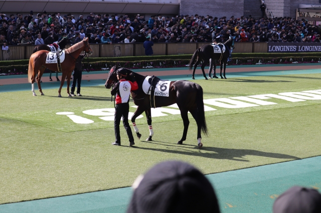 ディープシャイン ディープシャイン