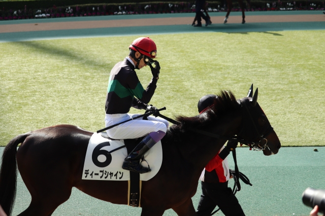 ディープシャイン二戦目 ディープシャイン