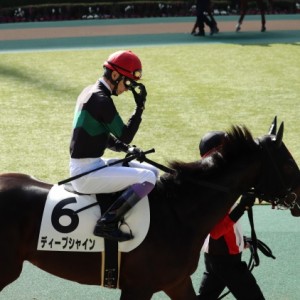 ディープシャイン二戦目