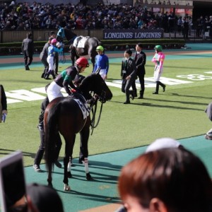 ディープシャイン