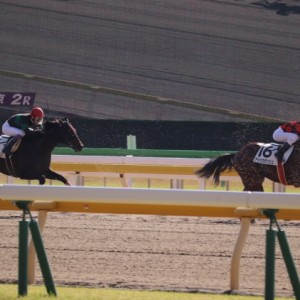 ディープシャイン