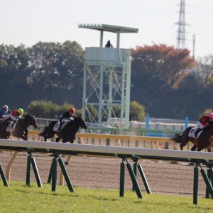 ディープシャイン