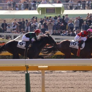 ディープシャイン