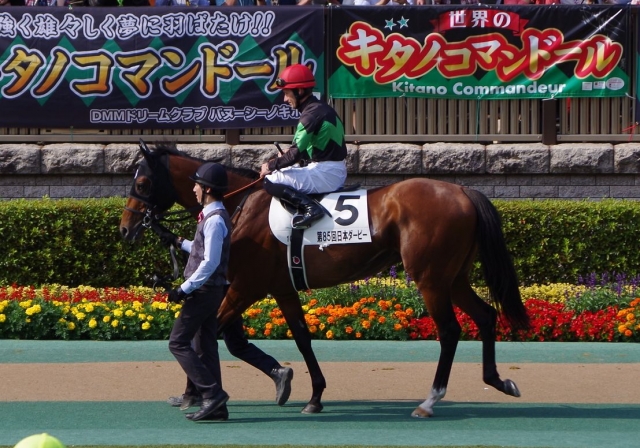 日本ダービー　パドック キタノコマンドール