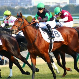 キタノコマンドール 新馬戦