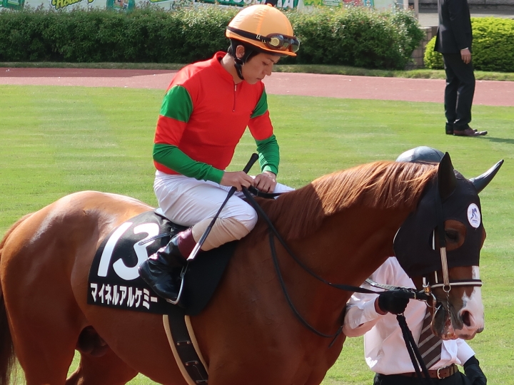 祝オープン馬 マイネルアルケミー