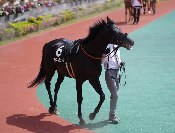 2021/5/9 三方ヶ原S(3勝クラス) マイネルミュトス