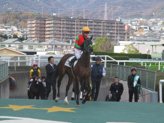 本馬場入場 ジャスタクイーン
