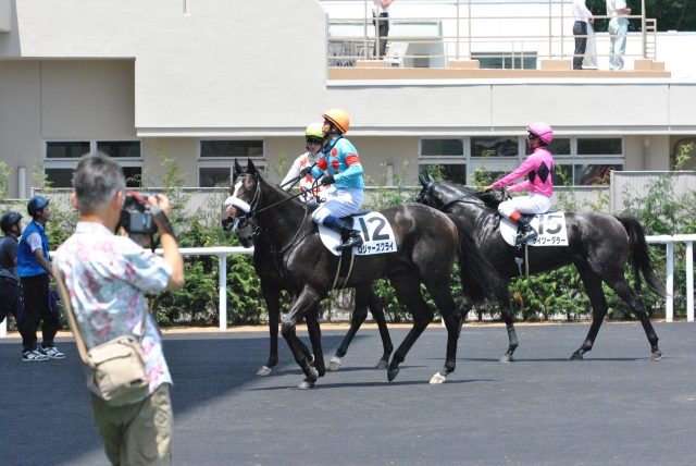 レース後 ロジャーズクライ